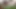 Ateşli Hintli teyze ki cudai video Hintçe web kamerası teyze ki mast cudai video Hintçe ateşli yenge ki cudai video Hintçe ateşli yenge
