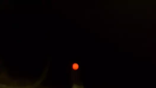 ne kadar yaşasa kral