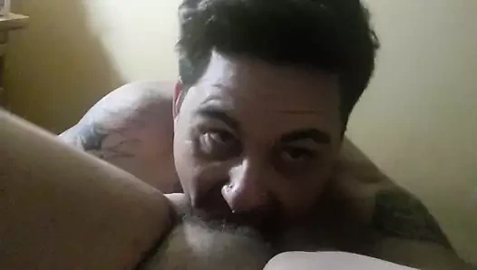 yemek kıllı olgun KEDİ