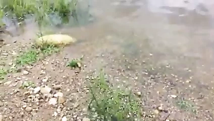 o seviyor için emmek 6