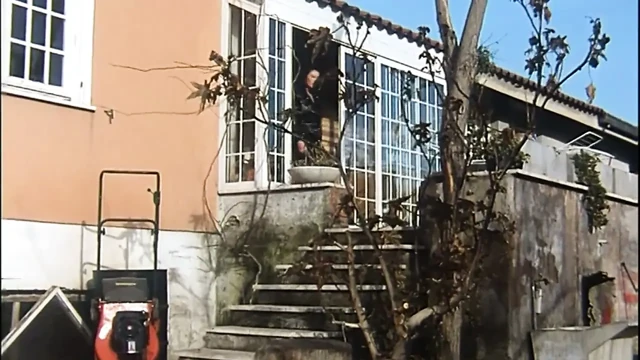 Bahçede tüylü yarrak tüylü am yalama emme