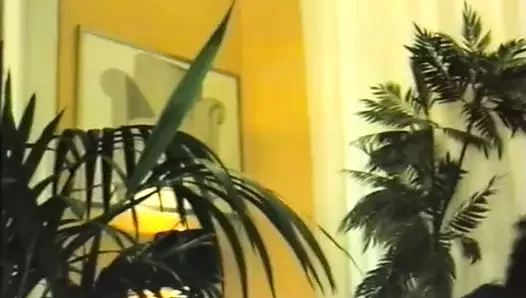 Abflug Bermudas aka Departure Bermudas 1976