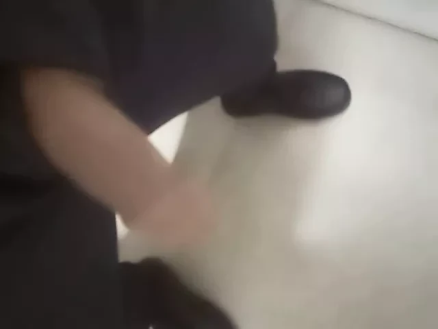 Benim horoz bir kedi arıyor
