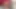 Ateşli kızıl saçlı dildo emiyor ve götüne sokuyor