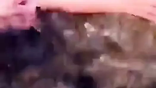 Esperanza gomez 12egv