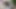 Petra Davis'in çekinmeyen bir esmerle ırklararası videosu