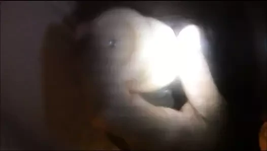 Kedi yutma wallowing büyük 8 inç yapay penis