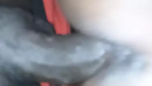 nine KEDİ olduğunu sıkı