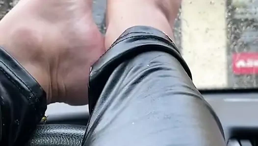 (kar yardaları) mavi çiviler