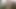 Hint desi yenge gösterileri onu göğüsler göt ve KEDİ 22