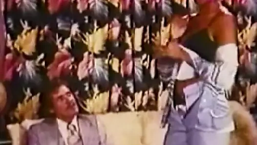 Dairede sıcak ırklararası sikme (1970'lerde bağbozumu)