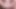 PLEASE DADDY!! THIS INAPPROPRIATE! DON'T CUM INSIDE ME! Innocent Stepdaughter Gets Surprise Creampie!