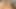 Jayden lee ve kapri cavanni sıcak kedi yalama porno