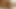 abanoz krem ​​KEDİ 487