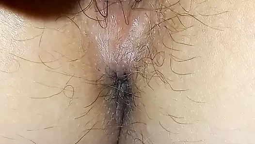 Pawg -3