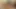 Koyu saçlı sahibe Miu Lee arkadaşı Alexa Weix bağlı yatarken amını dildoyla ovmayı seviyor