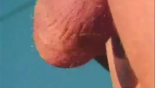 Esmer kahrolası damızlık üzerinde çim