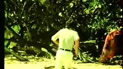 Çıplak ve şehvetli (1975)