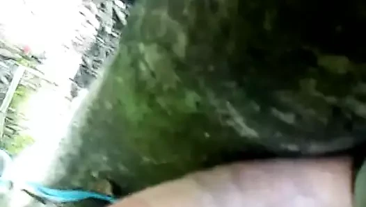 lanet bir ağaç