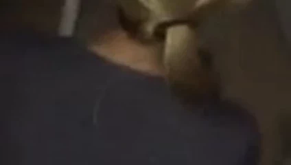 Hmoob sarışın krem ​​kısa