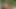 Tushy aldatan kızıl saçlı Megan Longoria iyi bir anal sikişe karşı koyamıyor