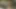 Bu milf verir the bahçıvan bir oral seks önce o kırlangıçlar onun yükünü
