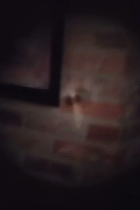 Kafeste Ama Oral Seks Alıyor Ve Parmaklıkların Arasından Onu Sevişiyor