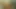 Hamile web kamerası civciv 7