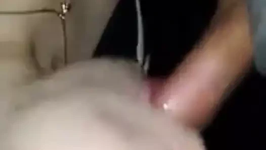 Sadece başka bir kırlangıç