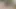Şınavlar bu vahşi striptiz oyununda güçlerini test ediyor