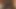 bbc içinde ona
