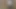 Tay karısı onu kedi ile oynuyor - ev yapımı