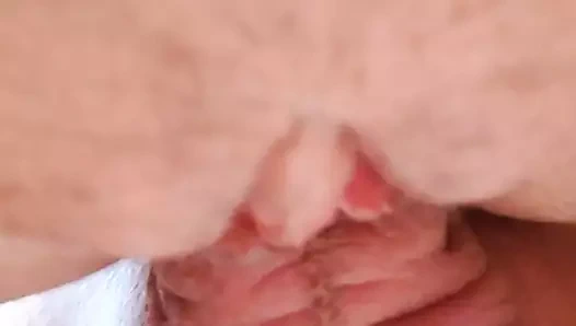 lanet lezzetli KEDİ itibaren arkasında