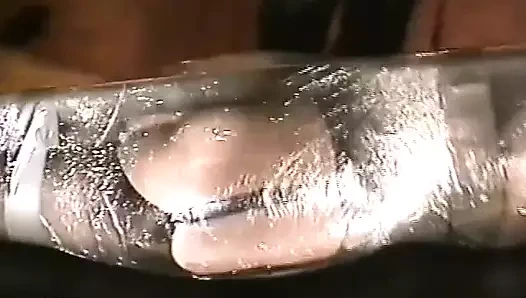 Örümcek ağına yakalandı