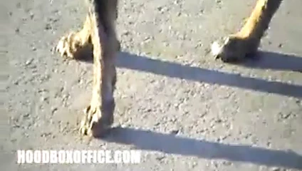 Sonra kahrolası siyah kedi çük aldı duş ve becerdin tekrar