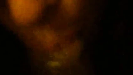 Başlarken kafa ve kahrolası eyersiz