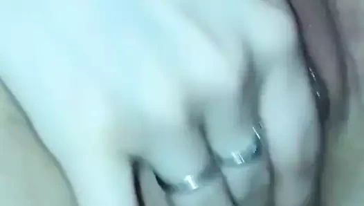 Eşi kamera için ıslak kedi losyonları