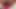 Pembe dildo amcığımı esnetiyor