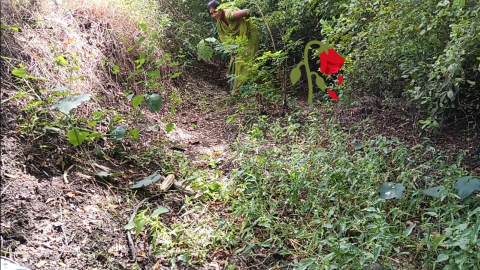 Bhabhi jungle apni brother-in-law se ass marawana chahta rahi aur brother-in-law sister-in-law ki aaj gad maar ega badi loud se