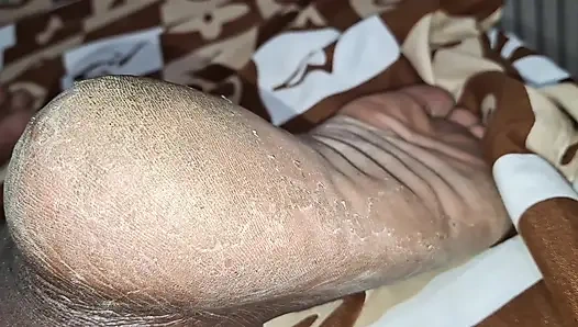 Domuzun büyük bacakları var ve bir gavattan gelip albümünü yalamasını istedi