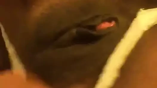 abanoz kedi