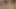 69 fuck each other,while she sucks and licks my cock,I lick her ass and suck pussy