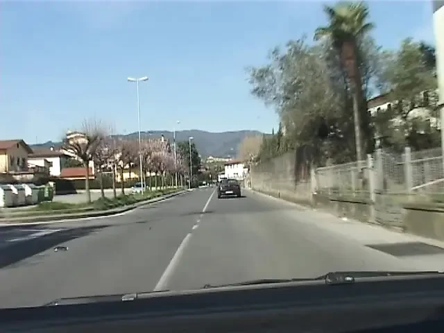 Ateşli olgun 2