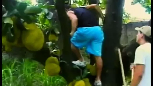 şehvetli genç dostum berbat horoz sonra oturur üzerinde bu ile onun göt