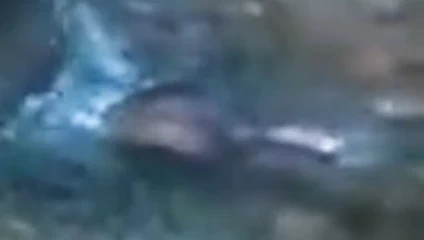 PNG MAMA CLAIRE ANAL