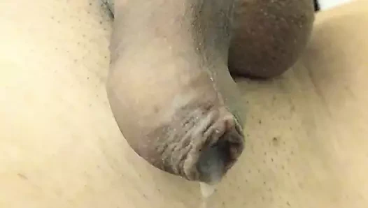 Minik eller serbest kadın kılıklı döl