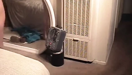 Asyalı hayranlar aptal sürtükler