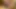 Çok ateşli seksi azgın ve dokunmalı dildo