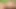 Minyon latin twink amatör videoda parmaklarıyla götünü sikiyor ve yarak sıvazlıyor