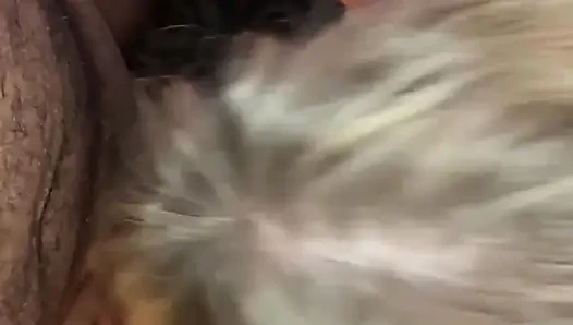 Kocanın ağzına alıyor